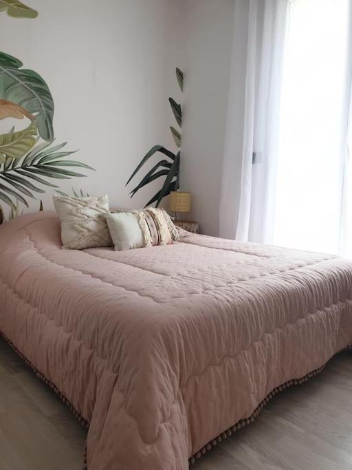 Anglet Biarritz Appartement Avec Piscine Kültér fotó